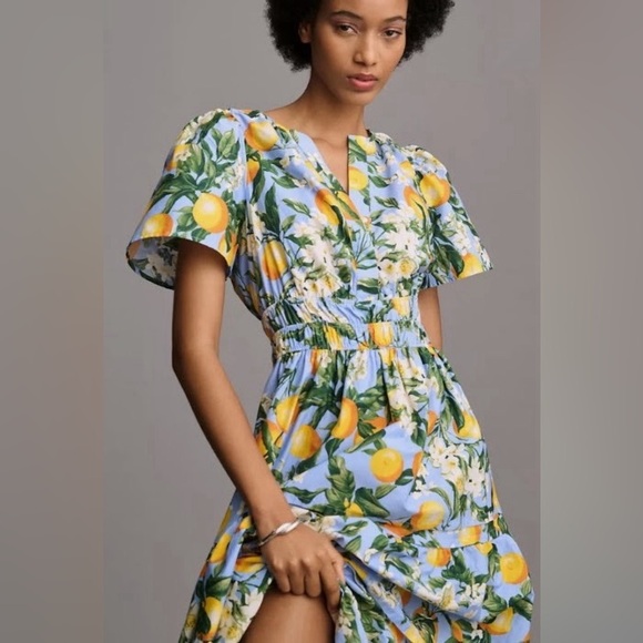Anthropologie Dresses & Skirts - Anthropologie Somerset Maxi Dress Lemon Print XL